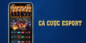 Cá Cược Esport - Tổng Hợp Tất Cả Mọi Thông Tin Phải Biết